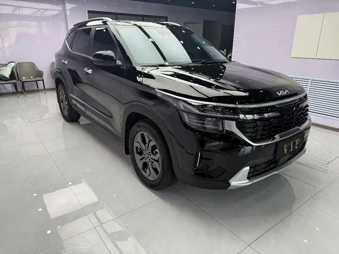 Kia Seltos 2023 1.5L CVT Luxury Edition фото 5