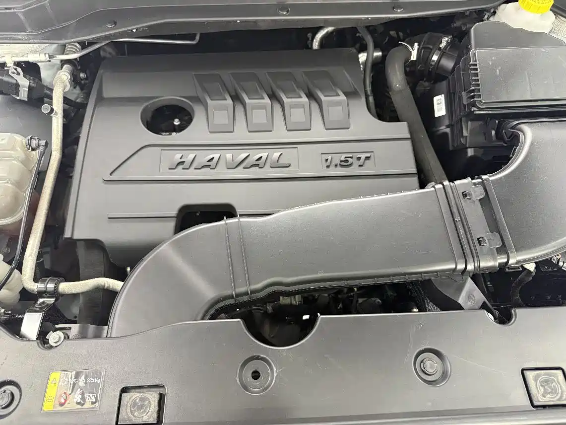 Haval H6 2021 1.5GDIT Automatic Champion Edition фото 22