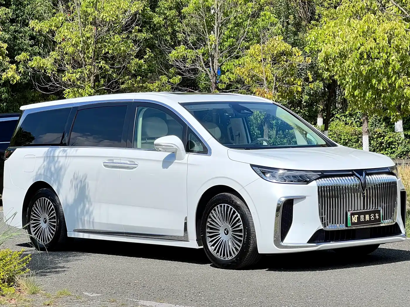 Voyah Auto Voyah Dreamer 2025 2025 PHEV 4WD Kunpeng Premium Edition