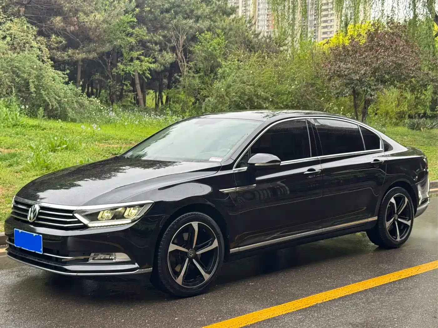 Volkswagen Magotan 2017 330TSI DSG Luxury