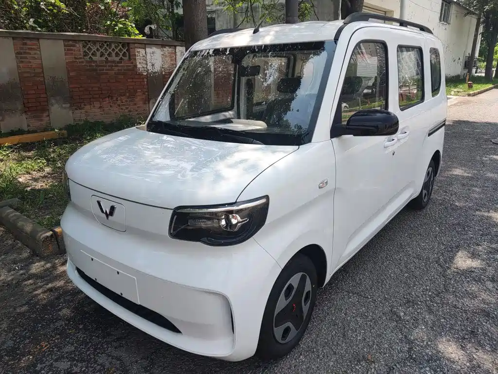 Wuling Motors Wuling Zhiguang NEV 2026 2025 Model 305km Base Version