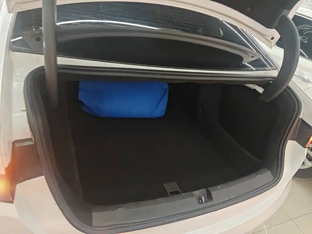 BYD Destroyer 05 2025 2024 Glory Edition DM-i 55KM Luxury