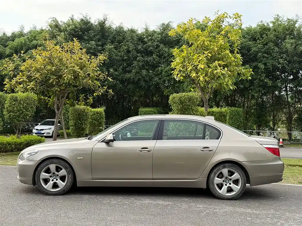 BMW 5 Series 2010 520Li Leading фото 8