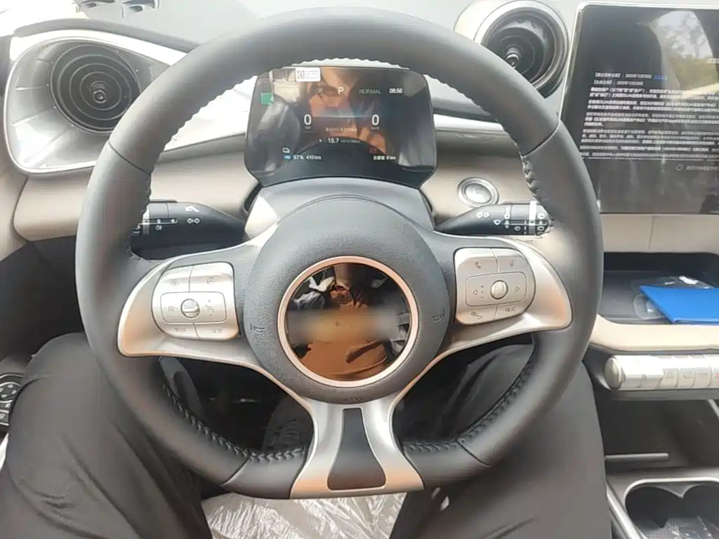 BYD Dolphin 2026 2025 420km Freedom Edition