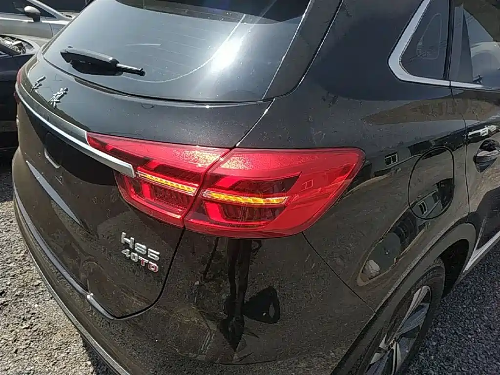 Hongqi HS5 2019 2.0T Smart Connect Enjoy Edition фото 8