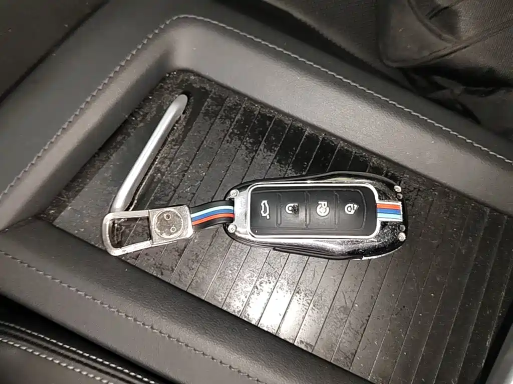 XPeng G3 2020 2019 Premium Edition