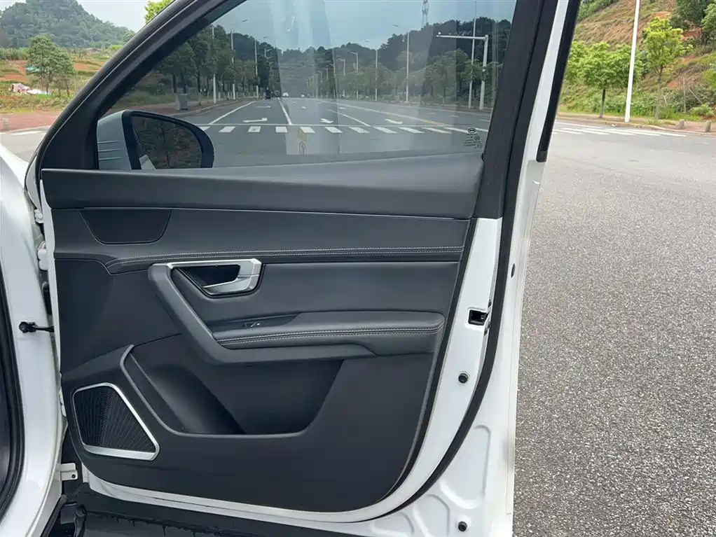BYD Song Pro 2019 1.5T Automatic Luxury фото 10