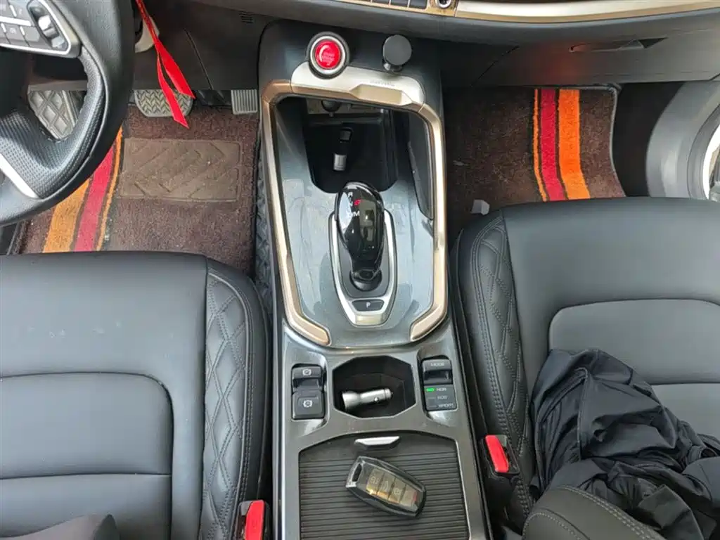 Haval H6 2020 1.5GDIT Automatic Platinum Champion Edition фото 14