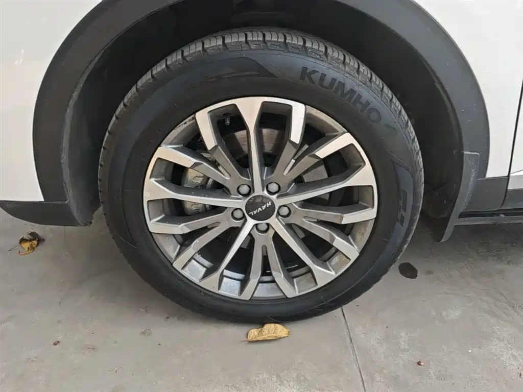 Haval H6 2020 1.5GDIT Automatic Platinum Champion Edition фото 23