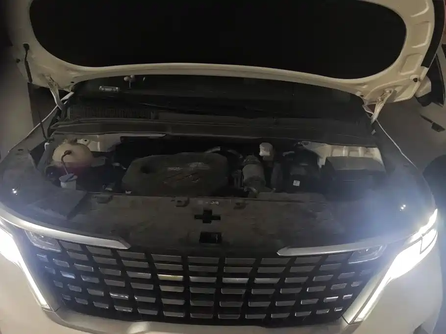 Kia Carnival 2024 2021 2.0T Flagship Edition