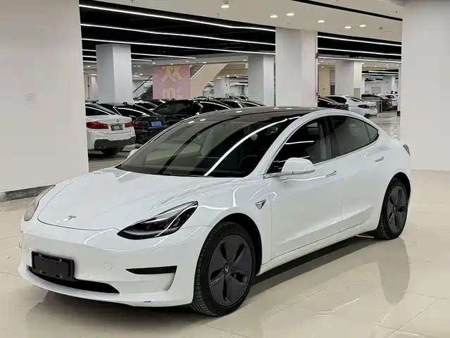 Tesla Model 3 2020 Standard Range Rear-Wheel Drive Upgrade