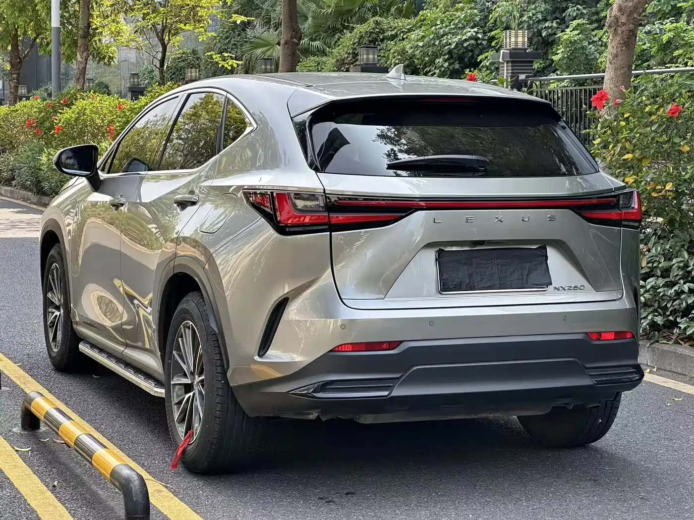 LEXUS NX