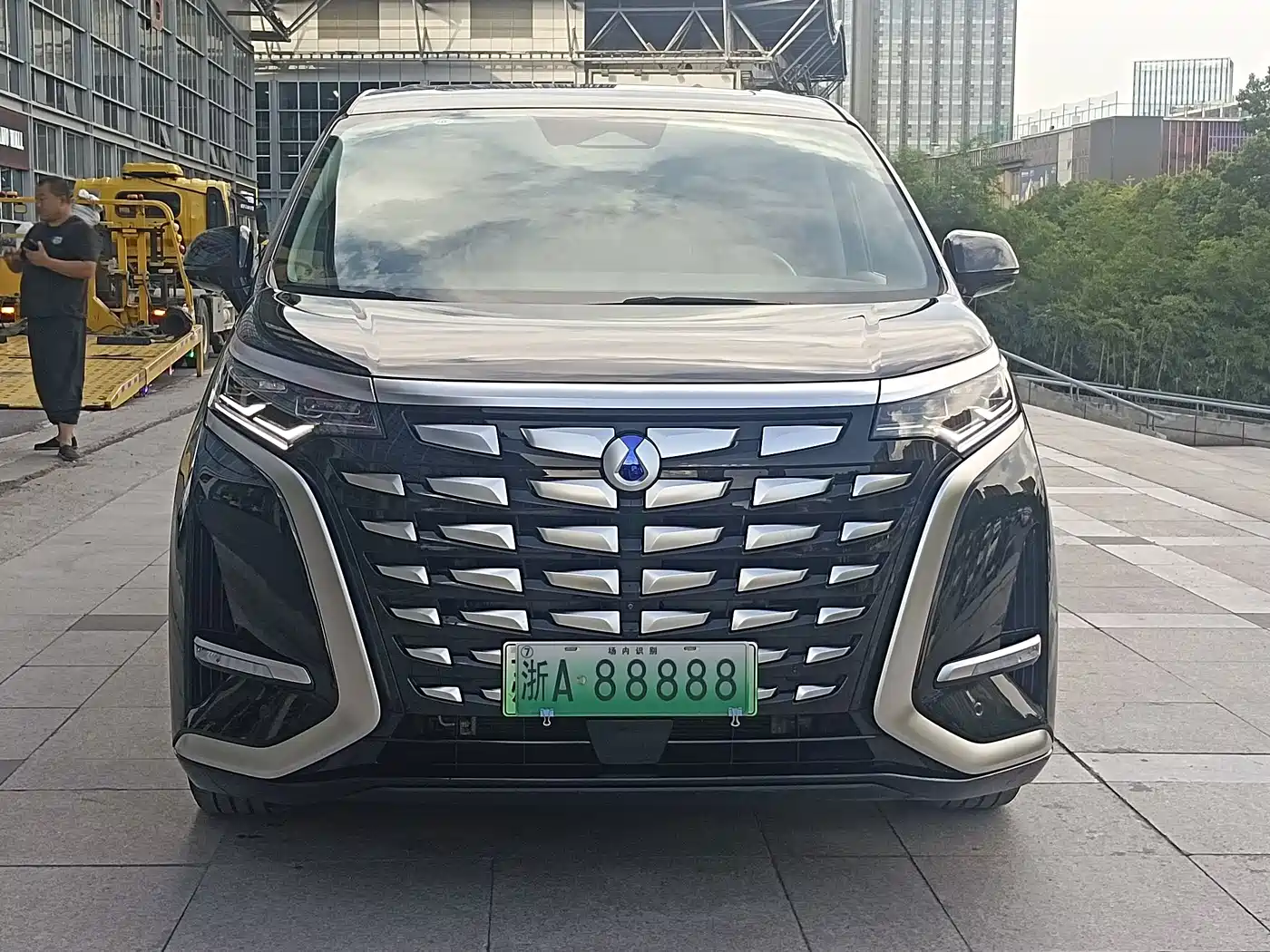 Фото 2 - Denza D9