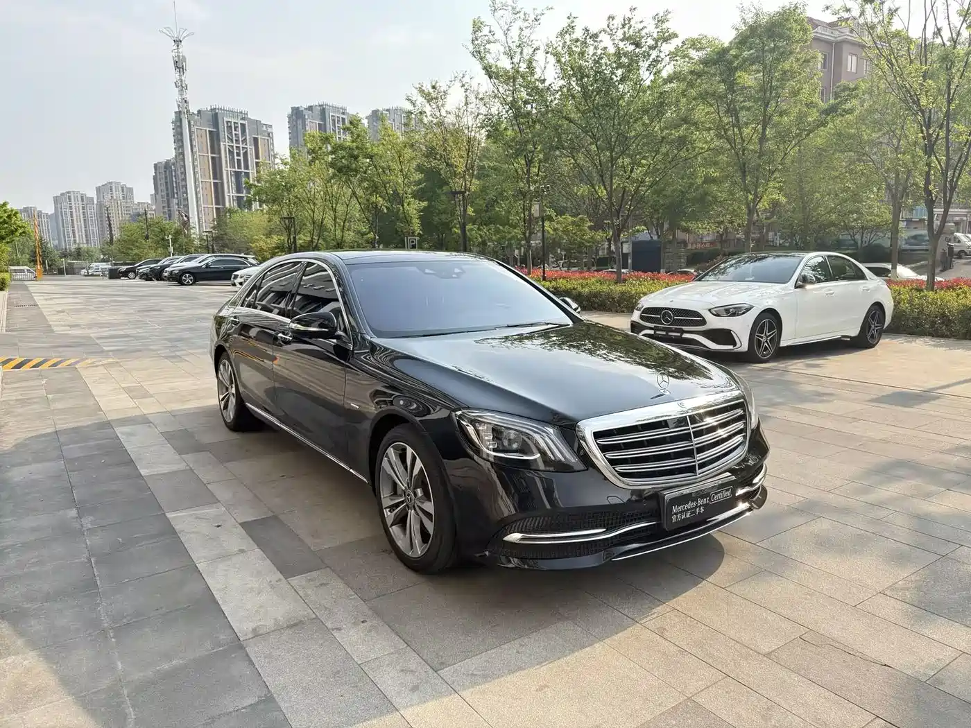 Mercedes-Benz S-Class 2020 S 350 L Premium Edition Collector's Version фото 3
