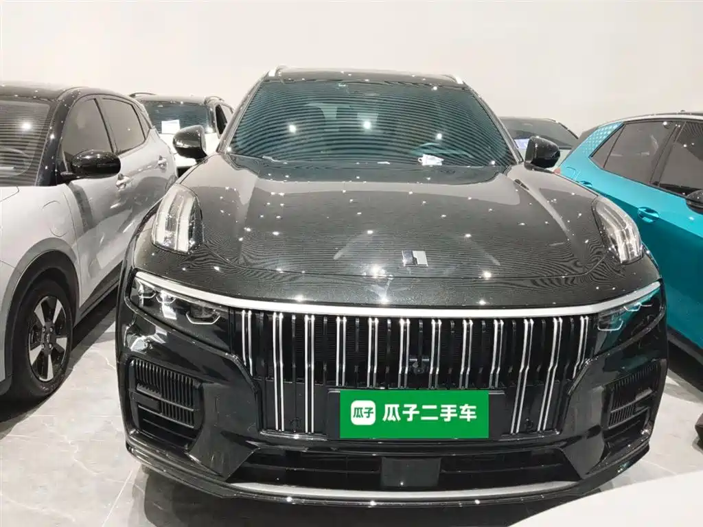Lynk & Co 09 EM-P 2023 2.0TD EM-P AWD Asian Games Executive Edition 5-Seater фото 3