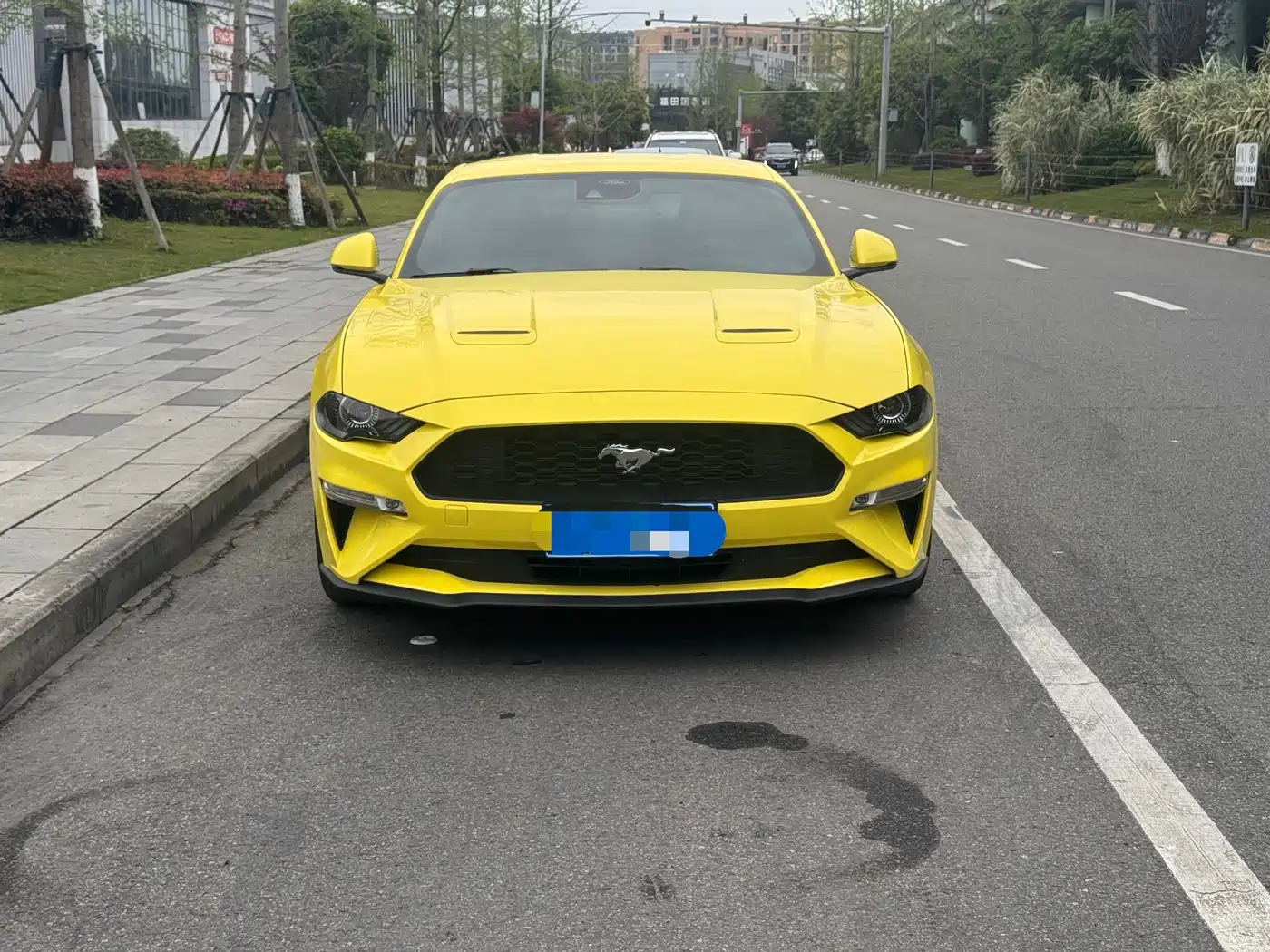 FORD MUSTANG