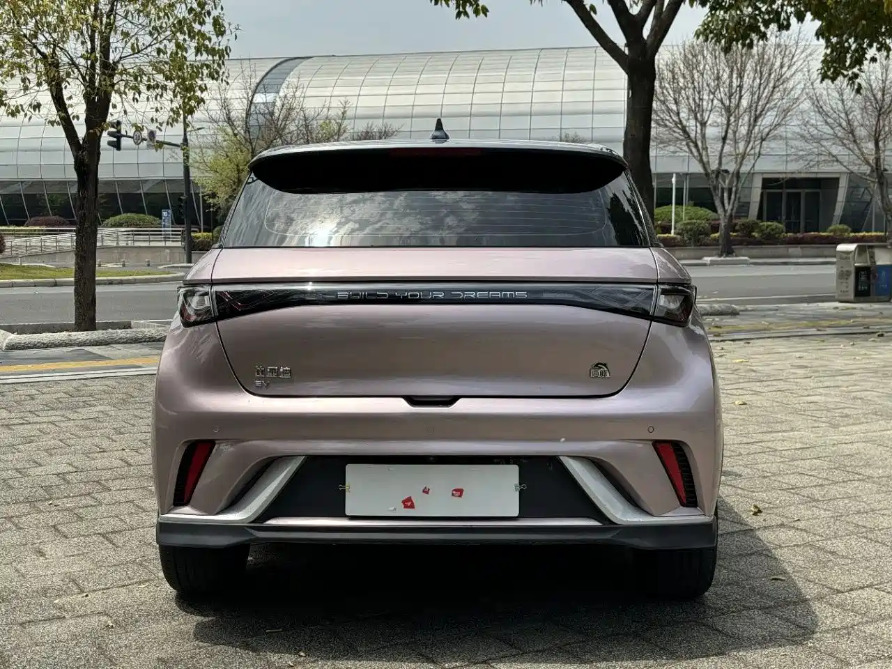 BYD Dolphin 2021 401km Knight Edition фото 5