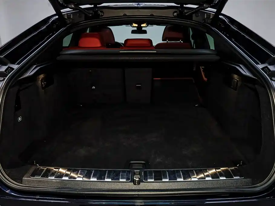 BMW X6 2021 Facelift xDrive40i Premium M Sport Package фото 6