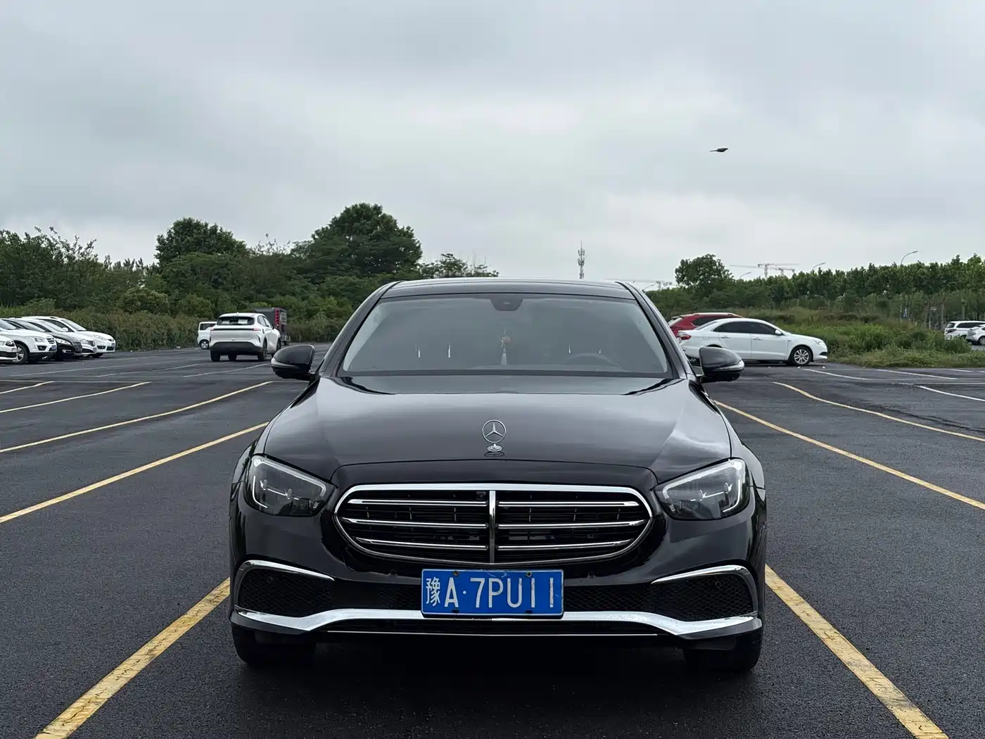Mercedes-Benz E-Class 2023 Facelift E 300 L Luxury фото 2
