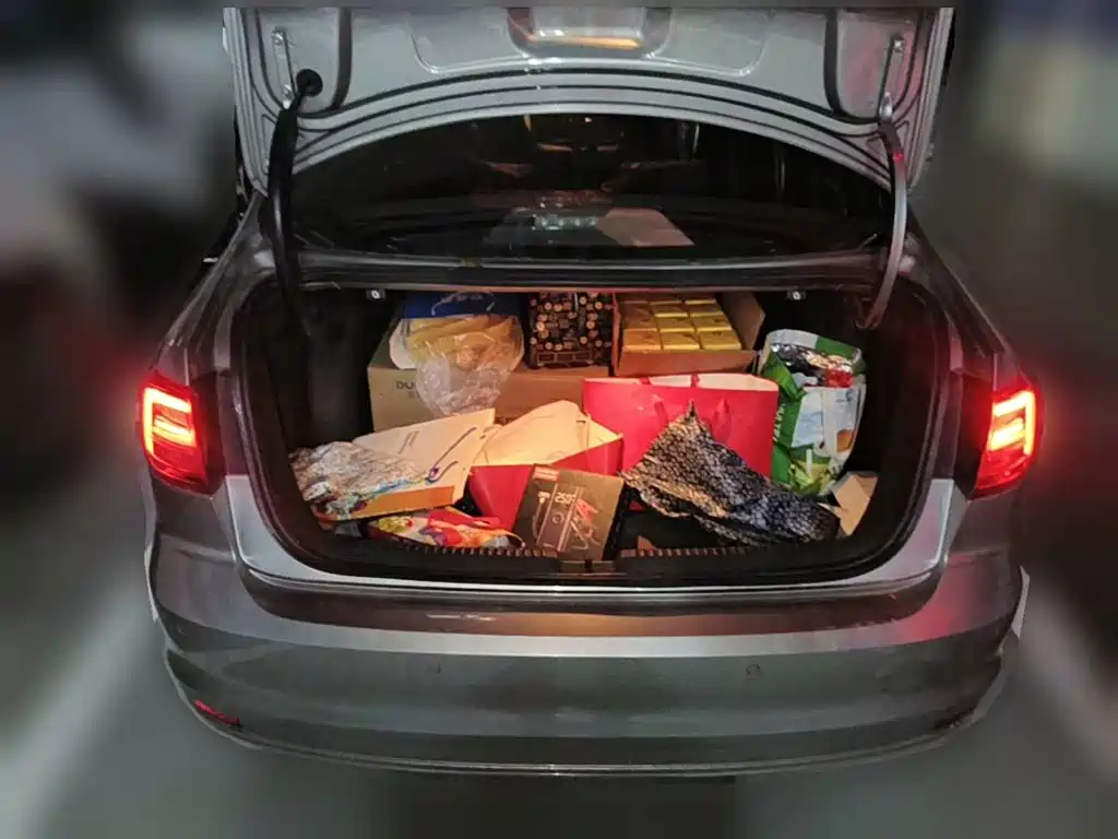 Photo 5 - Volkswagen Sagitar