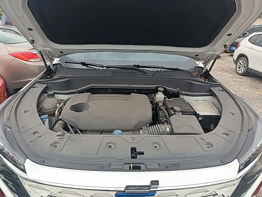 Changan Oshan Z6 2023 2023 Blue Whale 2.0T Auto Smart Drive