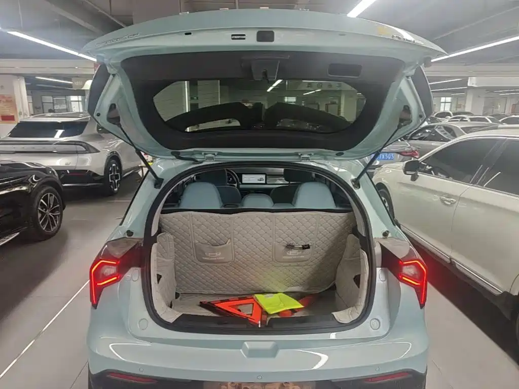 Geely Geometry E Firefly 2023 2024 Model 301km Starlight