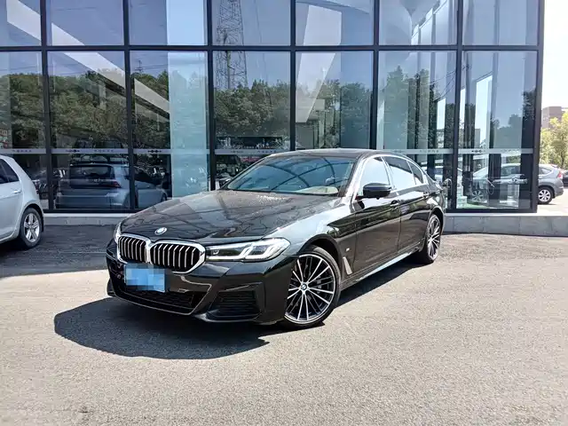 BMW 5 530Li, Лидер, M Спорт-пакет