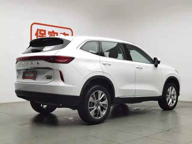 Haval H6 New Energy 2023 DHT-PHEV 55KM Joy Ride Edition — фото 2