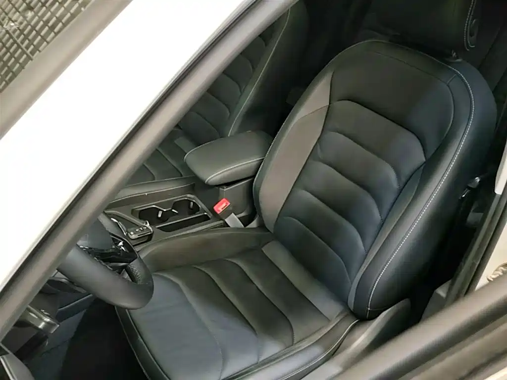 VOLKSWAGEN TIGUAN L NEW ENERGY