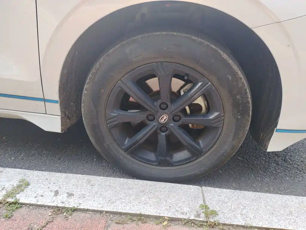 BYD e2 2020 2019 Long Range Yao·Luxury Model