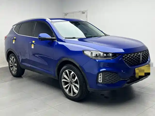 Фото 3 - WEY VV6