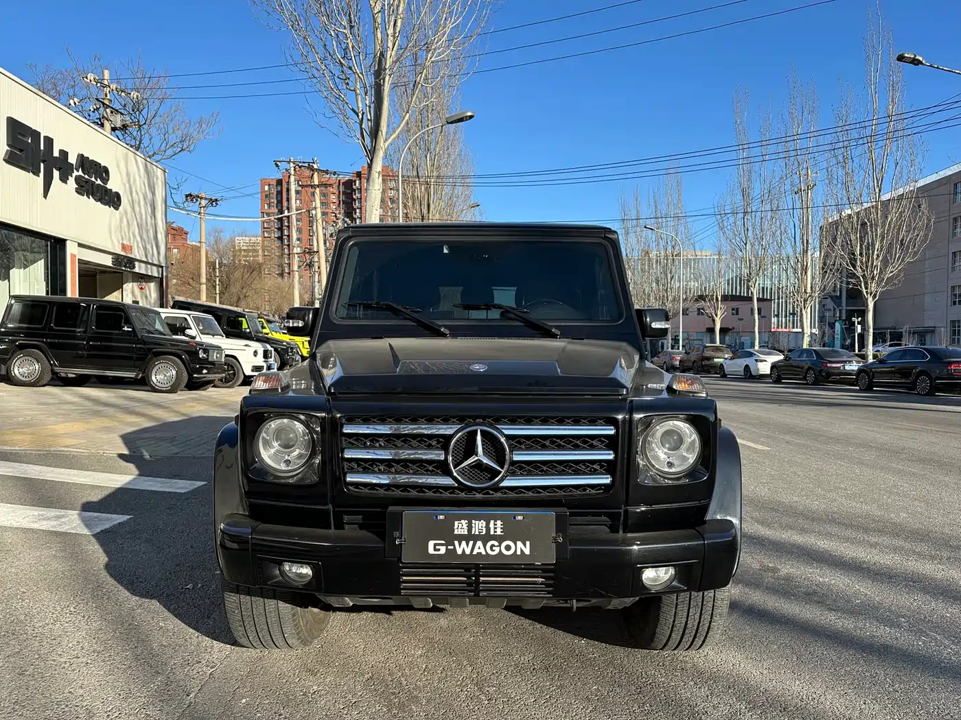 Mercedes-Benz G-Class AMG 2009 AMG G 55 фото 4