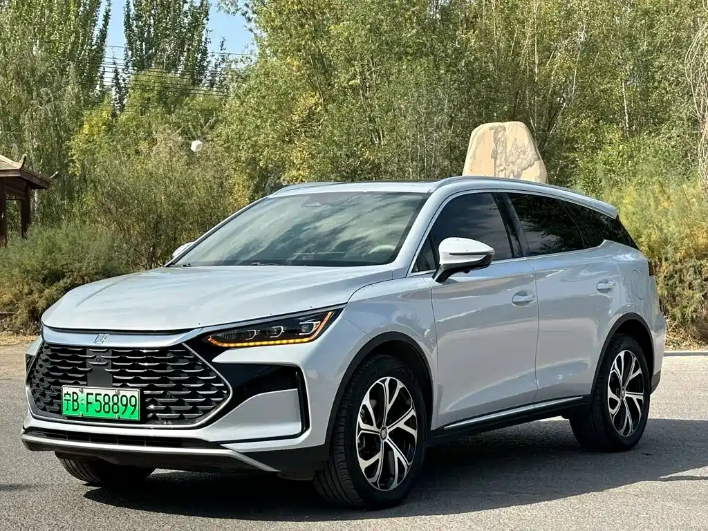 2025 BYD Tang New Energy