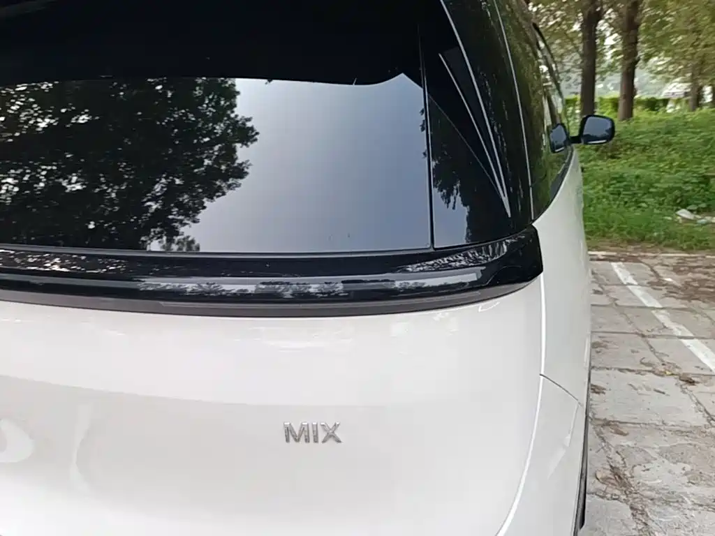 ZEEKR MIX 2025 2025 Long Range Intelligent Driving Edition
