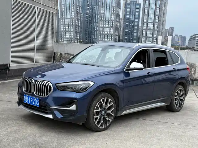 BMW X1 xDrive25Li, Престиж