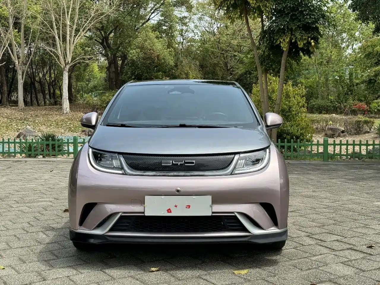 BYD Dolphin 2021 401km Knight Edition фото 2