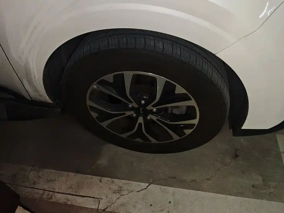 Kia Carnival 2024 2021 2.0T Flagship Edition