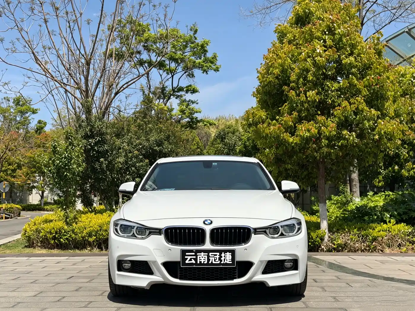 BMW 3 Series 2018 320Li Leading M Sport Package фото 2