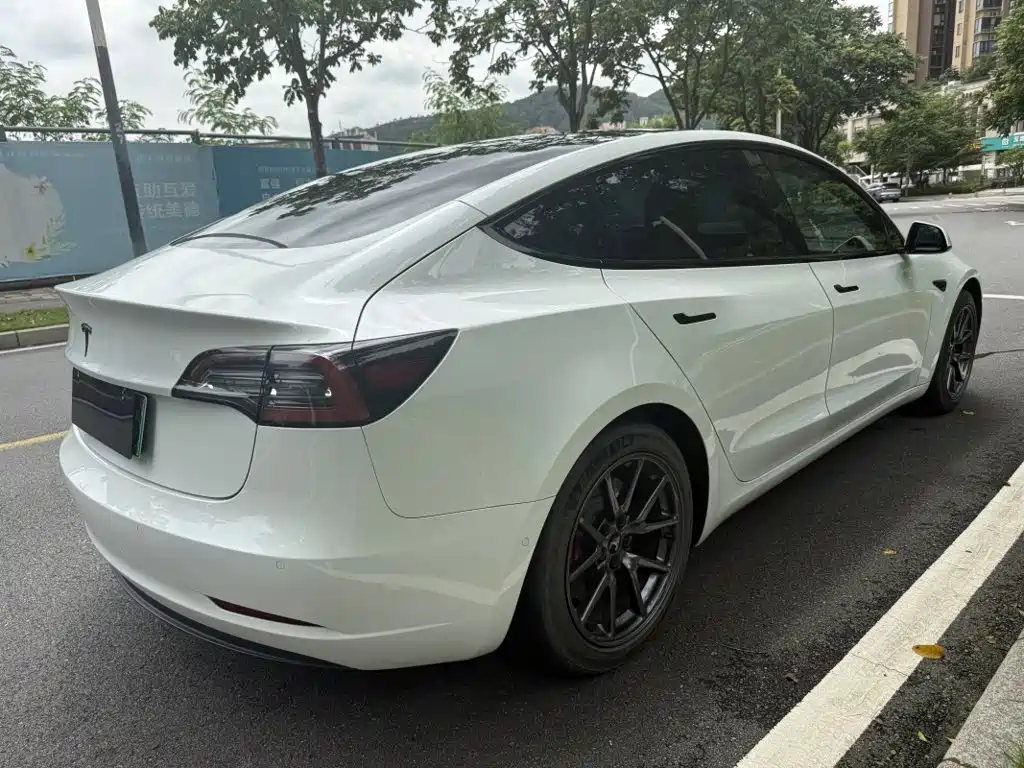 Tesla Model 3 2020 2020 Standard Range Rear-Wheel Drive Upgrade