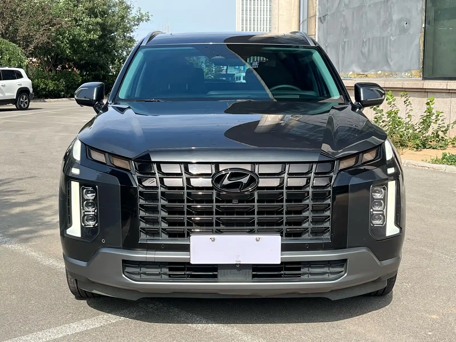 صورة 2 - Hyundai Palisade