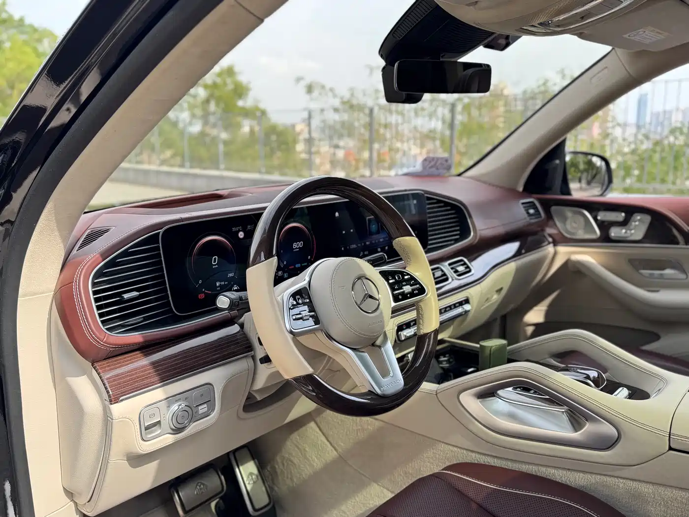 Mercedes-Benz Maybach GLS 2021 GLS 600 4MATIC Ritual Edition фото 9