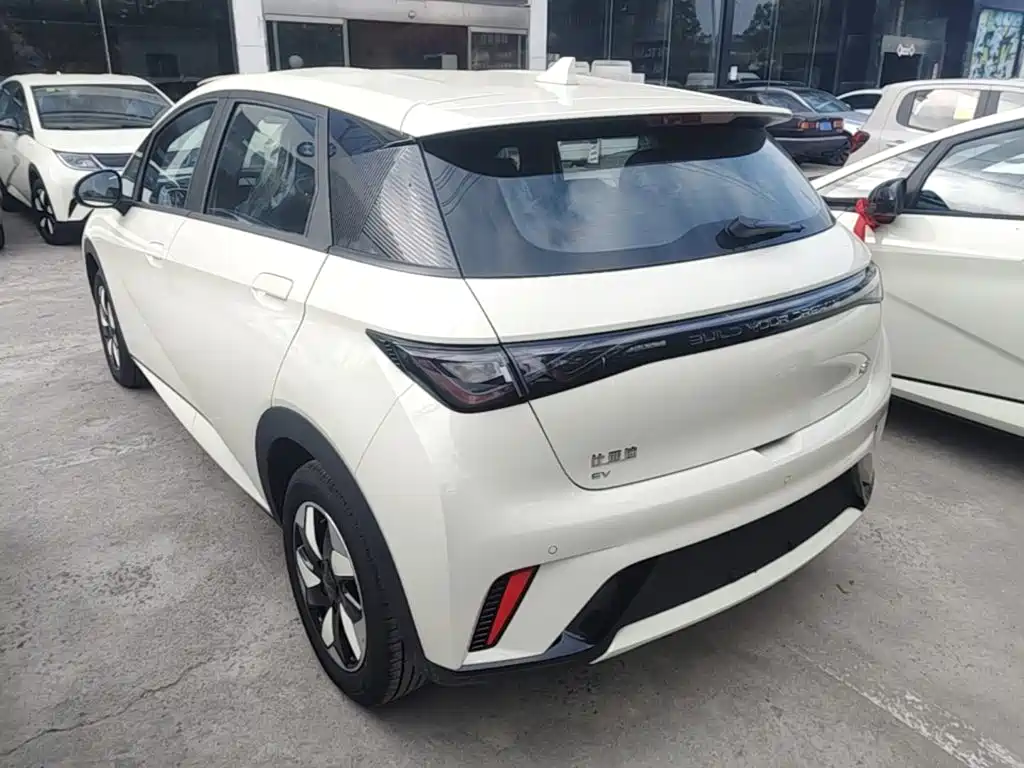 2026 BYD Dolphin