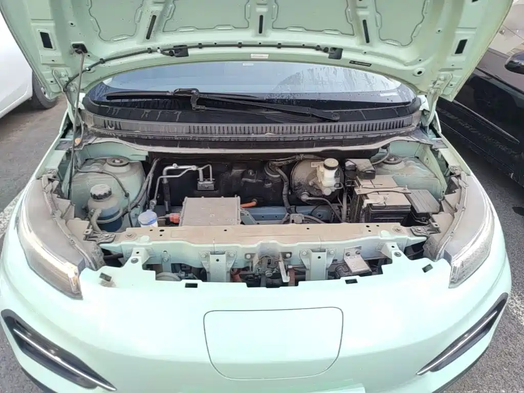 Dayun Yuehu 2022 2022 30.66kWh 2WD VIP Edition