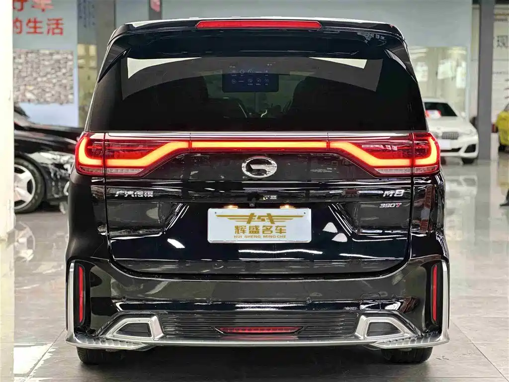 GAC Trumpchi Trumpchi M8 2021 Leading Show Series 390T Ultimate Edition фото 9