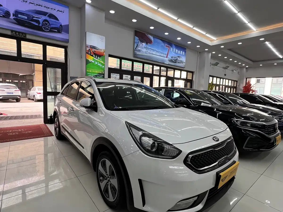 Kia Niro 2017 1.6L Luxury Edition фото 3