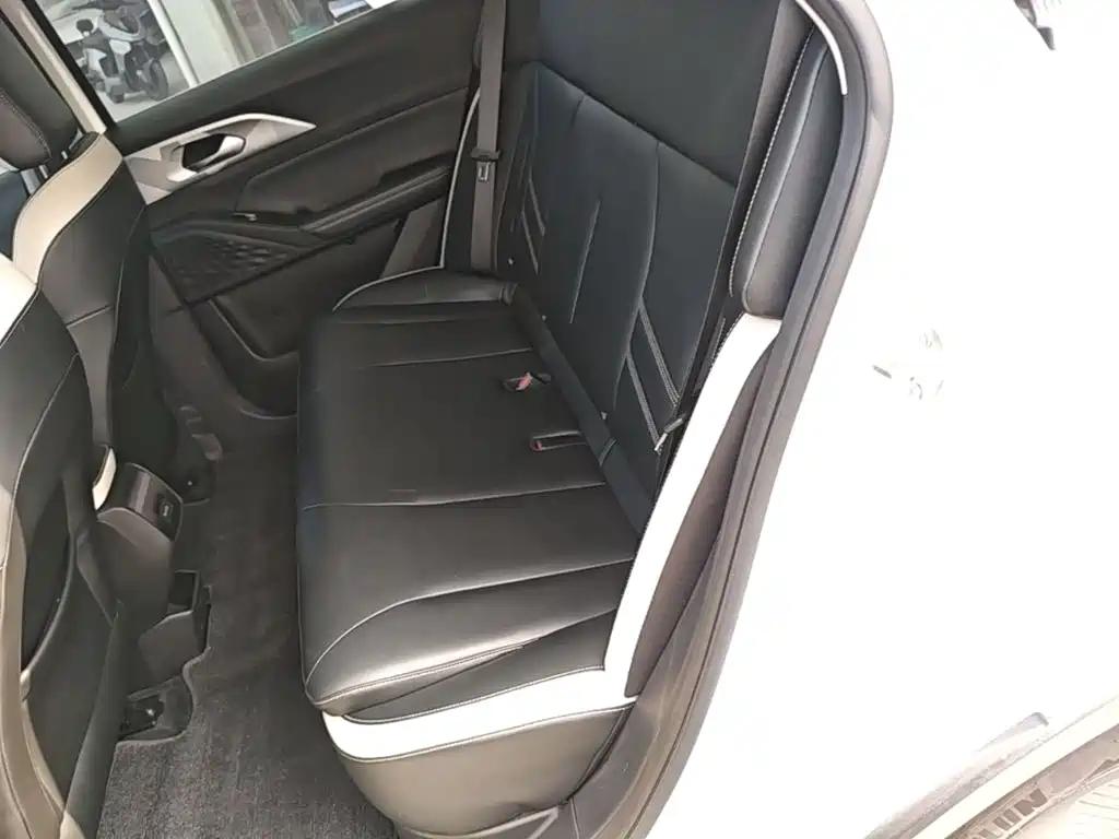 Geely Geometry E Firefly 2022 2022 401KM Thunder Tiger 4-Seater