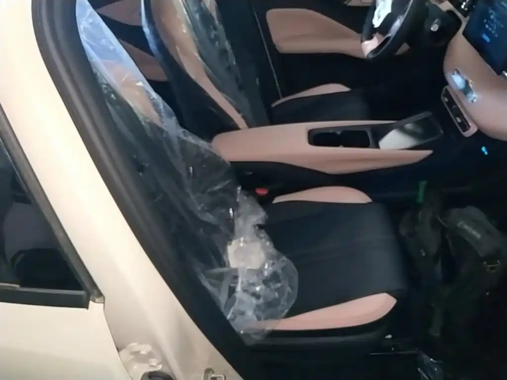 BYD Seagull 2026 2025 Smart Drive Edition 305km Vitality Version