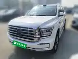 Фото 1 - Tank 500 EV