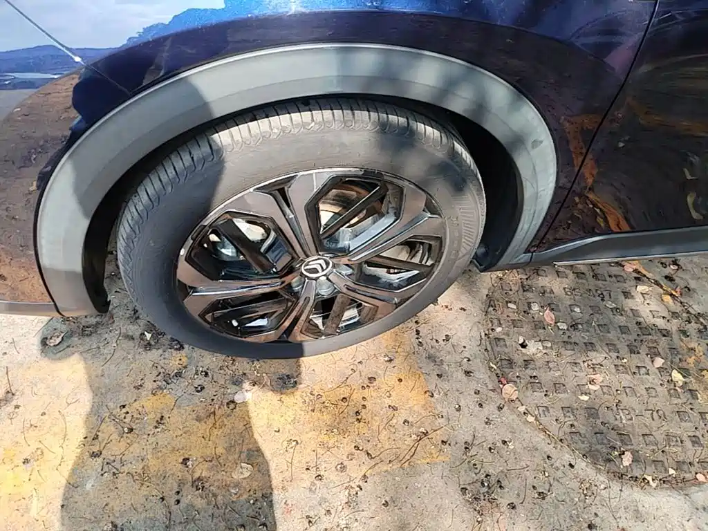 Фото 23 - Citroën Versailles C5 X