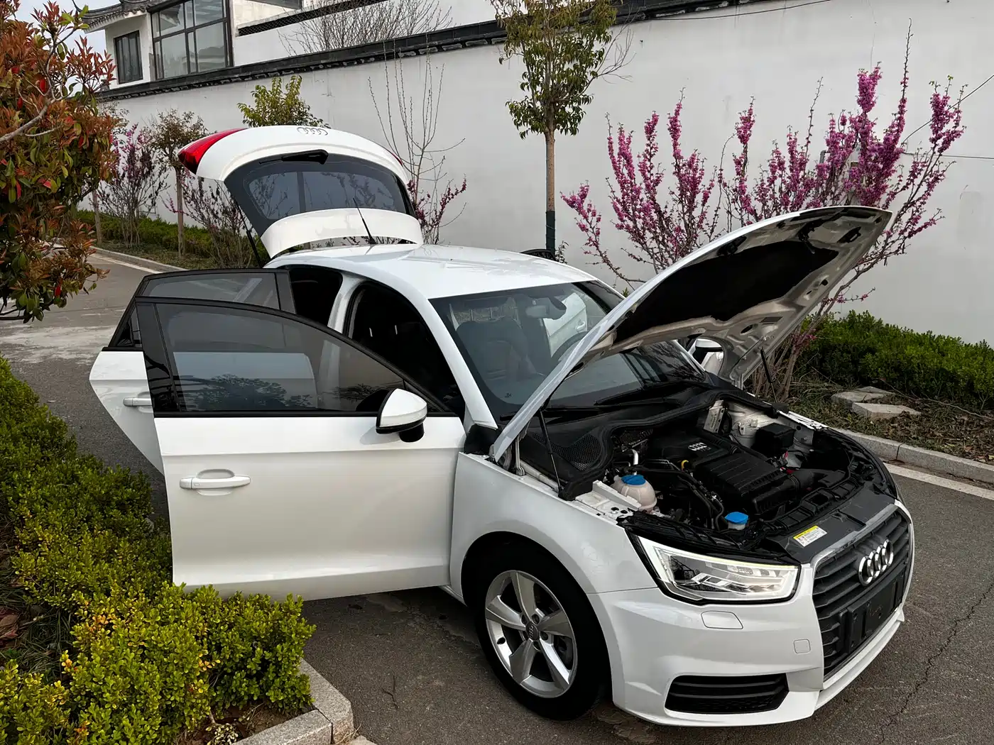 Audi A1 2016 2016 30 TFSI Sportback Design Style Edition